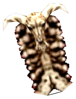 Skull Shield +0