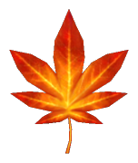 Maple Leaf +0